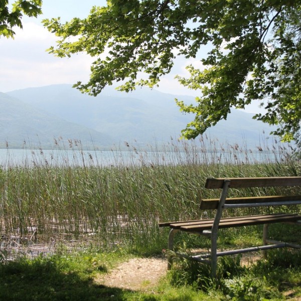 Günlük Sapanca Turu