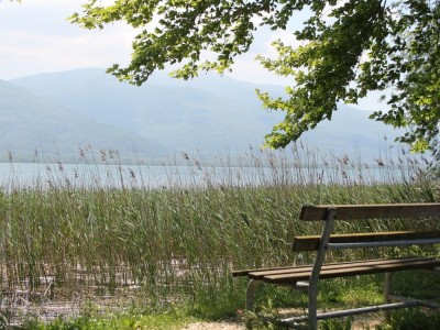 Günlük Sapanca Turu